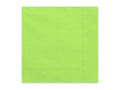 Paperiservetit – Vaaleanvihreä – 33 × 33 cm – 20 kpl